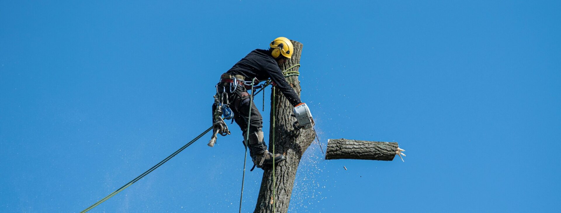 Tree Service & Defensible Space Experts Serving the Mt. Hood Corridor